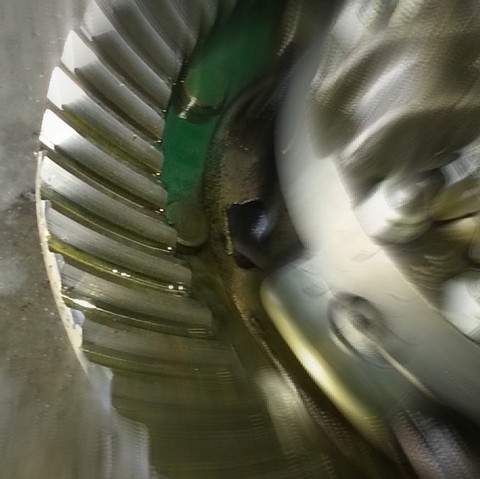 tandwiel beknellingsgevaar